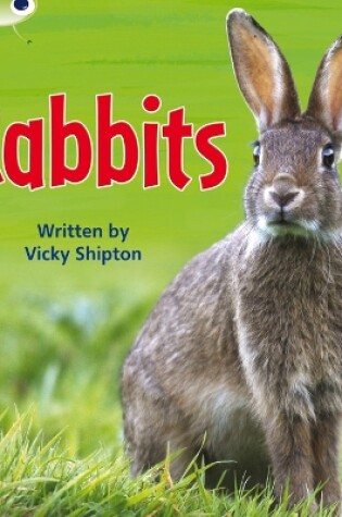 Cover of Bug Club Phonics - Phase 5 Unit 27: Rabbits