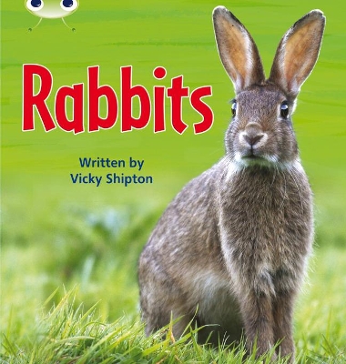 Book cover for Bug Club Phonics - Phase 5 Unit 27: Rabbits