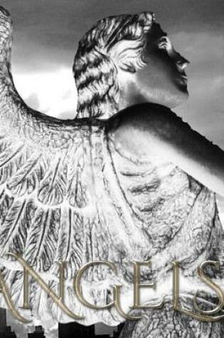Cover of Angel writing creative journal mega
