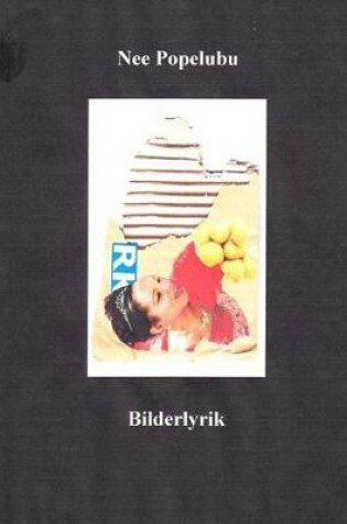 Cover of Bildlyrik