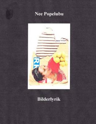 Book cover for Bildlyrik