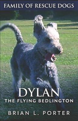 Cover of Dylan