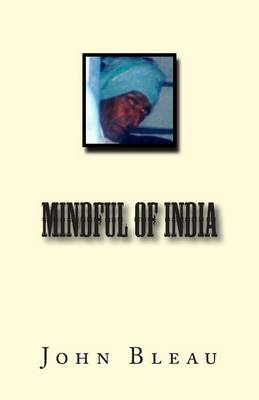 Book cover for Mindful of India