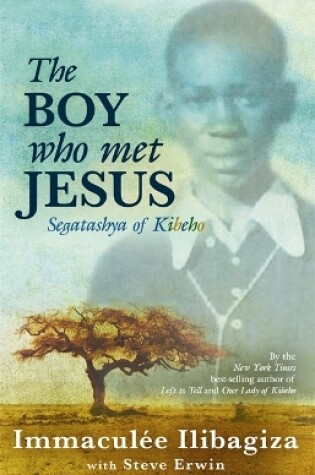 Cover of The Boy Who Met Jesus