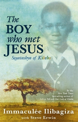 Book cover for The Boy Who Met Jesus