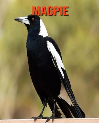 Book cover for Magpie