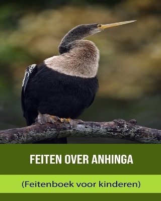 Cover of Feiten over Anhinga (Feitenboek voor kinderen)