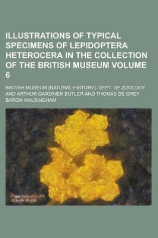 Cover of Illustrations of Typical Specimens of Lepidoptera Heterocera in the Collection of the British Museum Volume 6