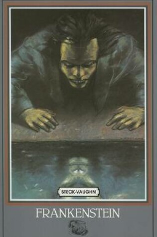 Cover of Frankenstein