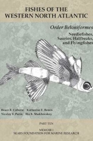 Cover of Order Beloniformes: Needlefishes, Sauries, Halfbeaks, and Flyingfishes