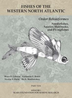 Cover of Order Beloniformes: Needlefishes, Sauries, Halfbeaks, and Flyingfishes