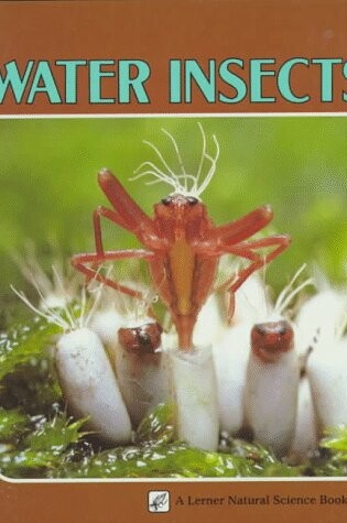 Cover of Water Insects