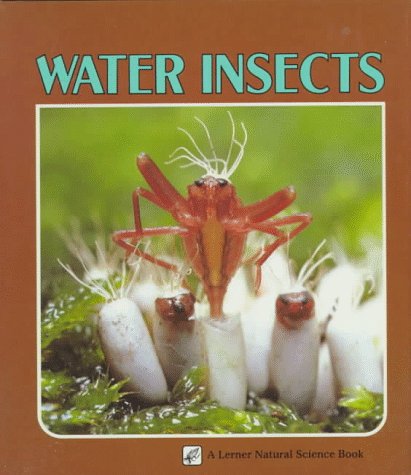 Book cover for Water Insects