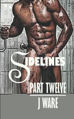 Cover of Sidelines Part Twelve