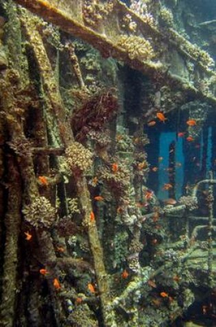 Cover of Detail of Chrisola K Wreck at Red Sea Abu Nuhas Reef Journal