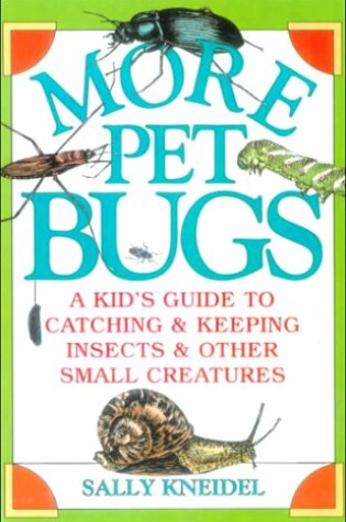 Cover of More Pet Bugs