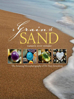 Book cover for A Grain of Sand