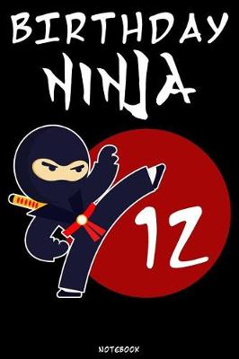 Book cover for Birthday Ninja 12