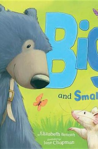 Cover of Big and Small