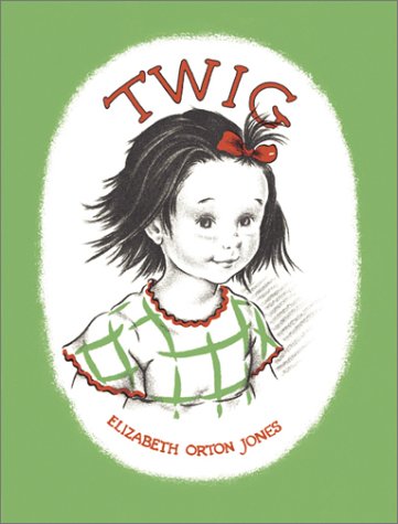 Book cover for Twig