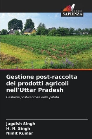 Cover of Gestione post-raccolta dei prodotti agricoli nell'Uttar Pradesh