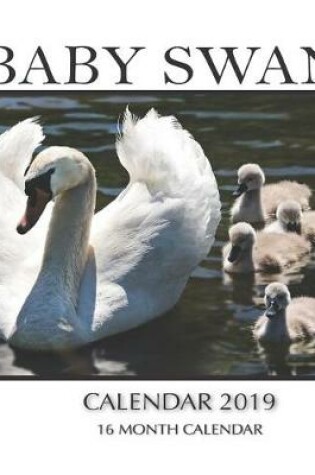 Cover of Baby Swans Calendar 2019