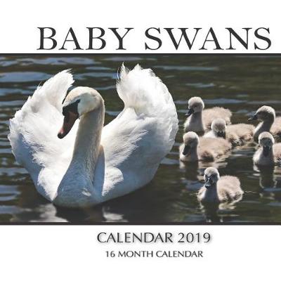 Book cover for Baby Swans Calendar 2019