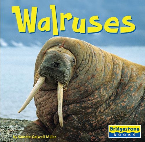 Book cover for Walruses