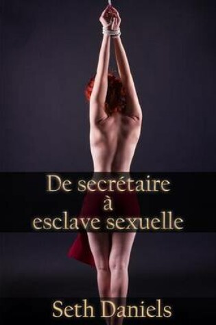 Cover of de Secretaire a Esclave Sexuelle