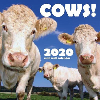 Book cover for Cows! 2020 Mini Wall Calendar