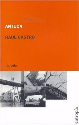 Book cover for Antuca