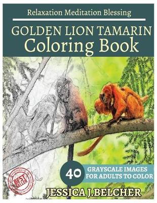 Book cover for Golden Lion Tamarin Coloring Book for Adults Relaxation Meditation Blessing