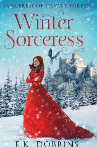 Cover of Winter Sorceress