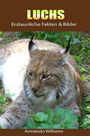 Cover of Luchs