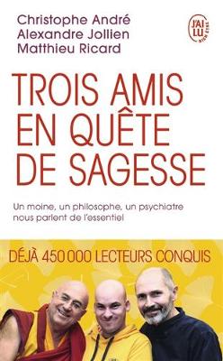 Book cover for Trois amis en quete de sagesse