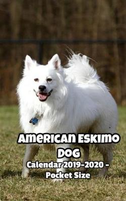 Book cover for American Eskimo Dog Calendar 2019-2020 - Pocket Size