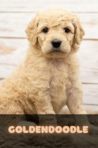 Cover of Goldendoodle