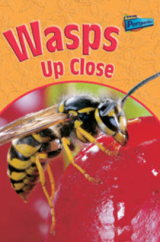 Cover of Wasps Up Close