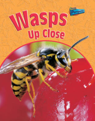 Book cover for Wasps Up Close