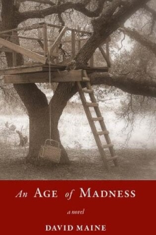 Cover of An Age of Madness