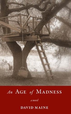 Book cover for An Age of Madness