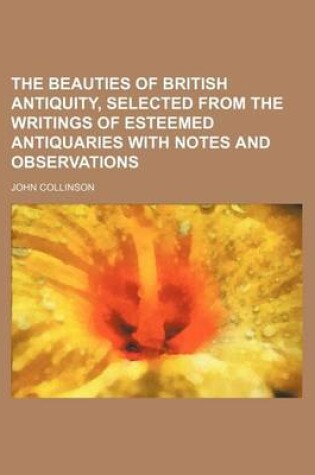 Cover of The Beauties of British Antiquity, Selected from the Writings of Esteemed Antiquaries with Notes and Observations