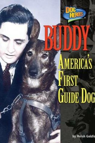 Cover of Buddy