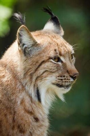 Cover of Lynx Profile, for the Love of Animals