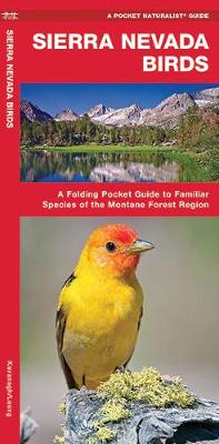 Book cover for Sierra Nevada Birds