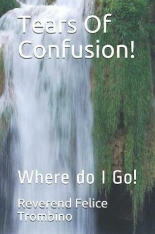 Cover of Tears of Confusion!