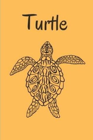 Cover of Turtle