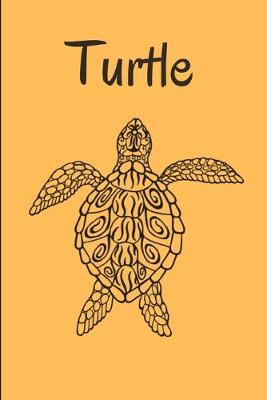 Book cover for Turtle