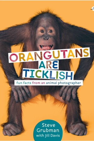 Cover of Orangutans Are Ticklish