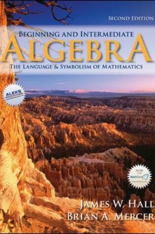 Cover of Beginning and Intermediate Algebra